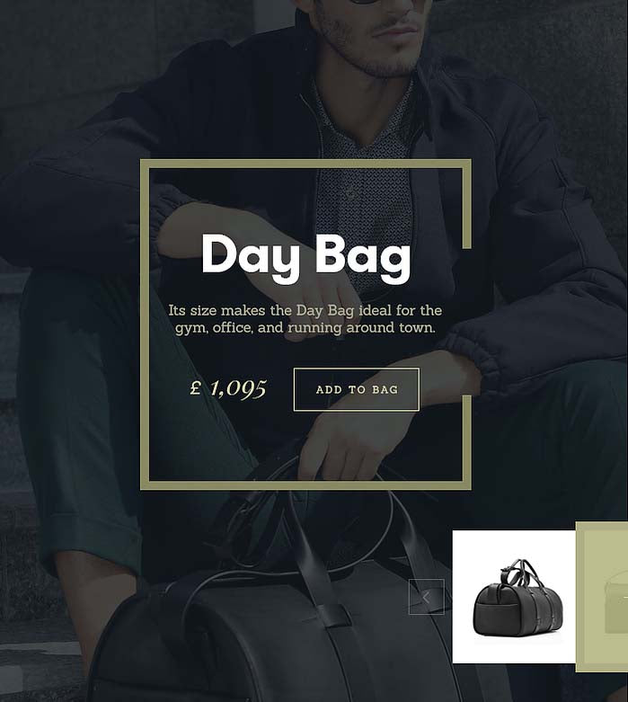 Day Bag